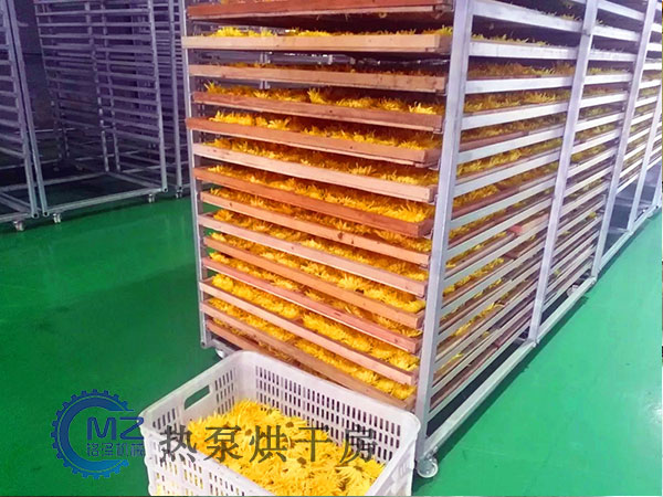 菊花烘干房客戶現(xiàn)場